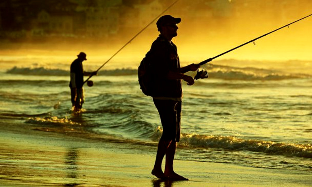 Los clientes son como peces