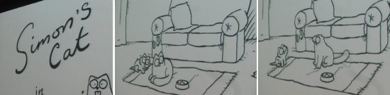 estado-2013-inauguracion-mecal-550-2