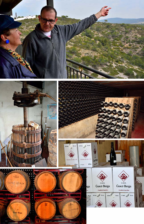 cavas-custo-berga-550-1