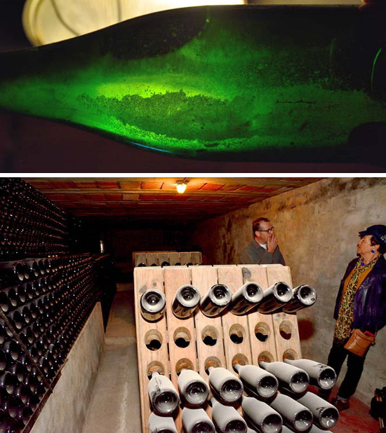 cavas-custo-berga-550-2