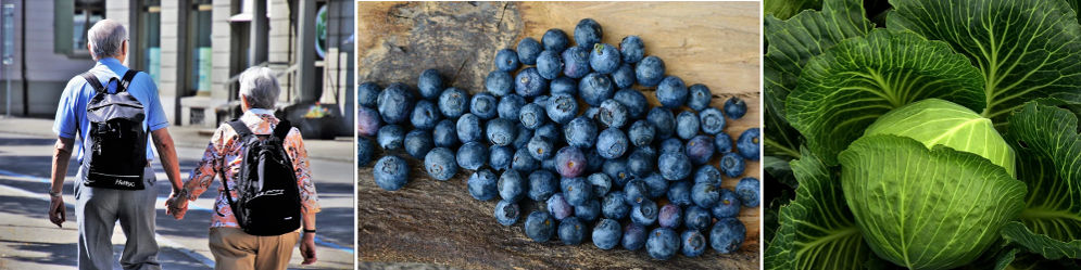 Envejecimiento - Productos naturales antienvejecimiento