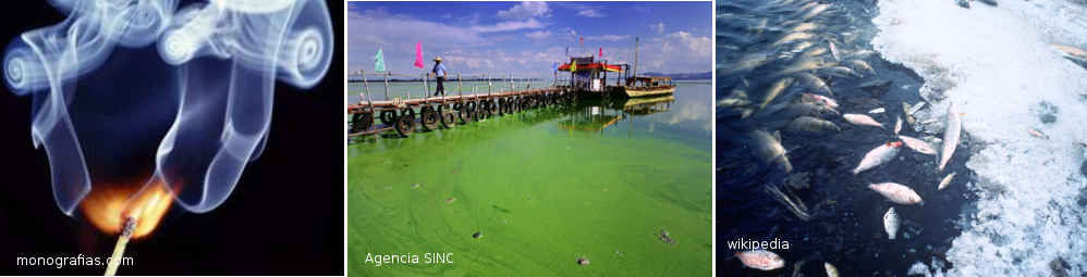 Fósforo blanco - Contaminante muy peligroso para los humanos