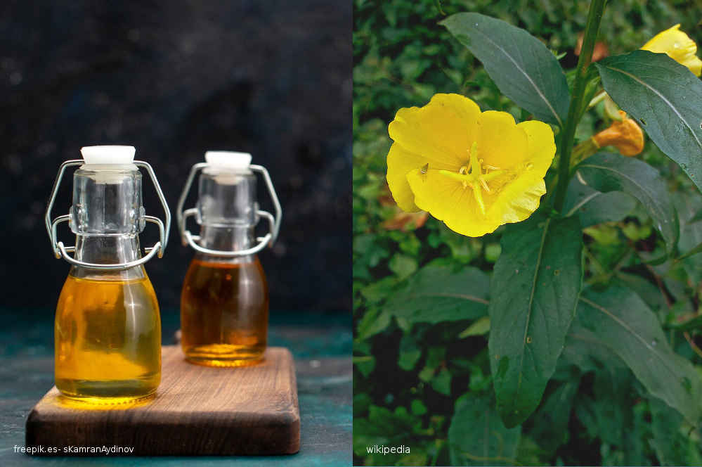 Propiedades y usos del aceite de onagra
