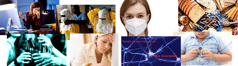 News Mayo 2020 – Women’s & Men eMagazine