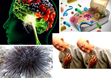 News Agosto 2020 – Women’s & Men eMagazine