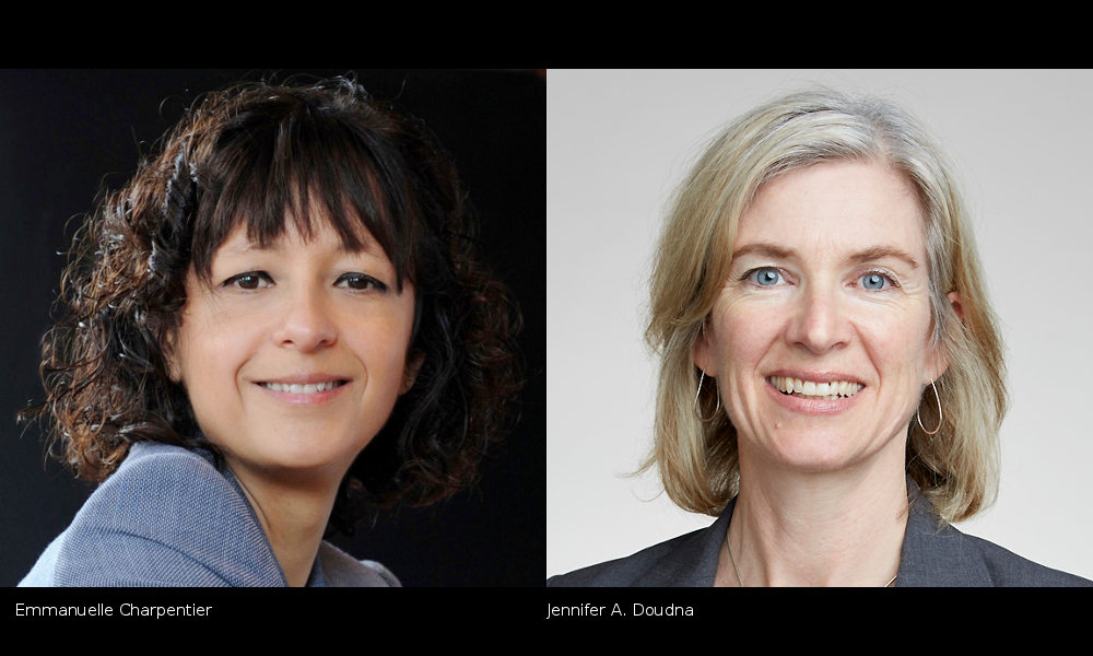 Jennifer A. Doudna y Emmanuelle Charpentier, Nobel de Química 2020
