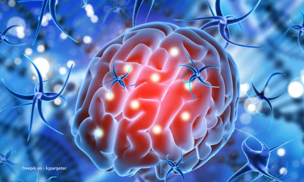 Esclerosis múltiple y enfermedad del beso - Aclaraciones de la SEN