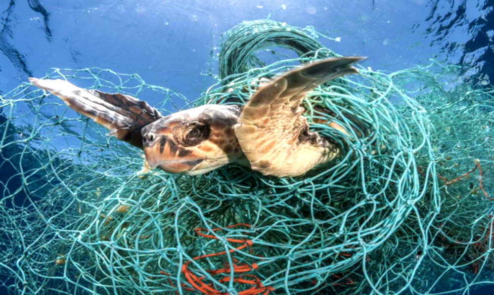 Plásticos en aguas españolas - Peligro de acumulación masiva