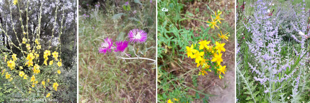 Hotel 'El Molí' – Pont de Molins (Empordà, Girona)