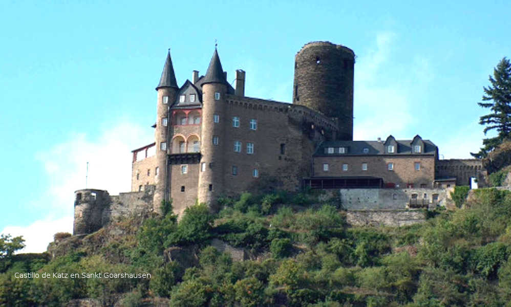 Castillos del Rin - El placer de un crucero entre magníficos castillos