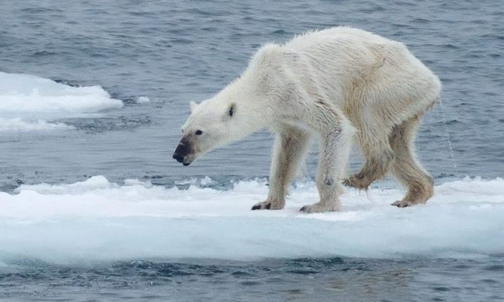 El calentamiento global y los fenómenos extremos en aumento