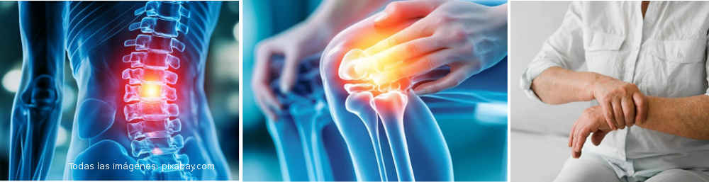 Alimentos y remedios naturales contra la Artritis - Menú