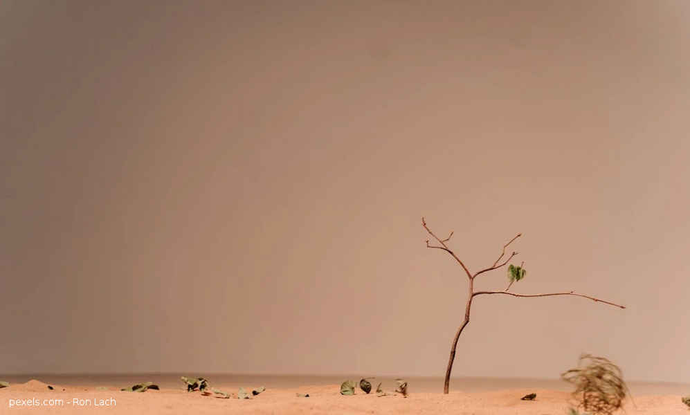 Reducciones de ingresos importantes en 2050 debido al cambio climático