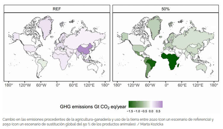 Cambiar productos de origen animal por los de origen vegetal