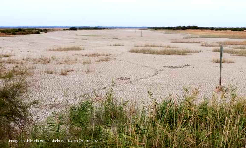 Parque Natural de Doñana - Dramática situación por su mala gestión