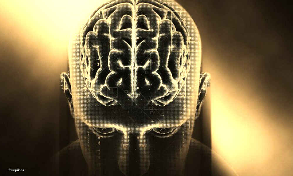 ‘Neurodegeneración y Alzhéimer’ – Arcadi Navarro y Nina Gramunt