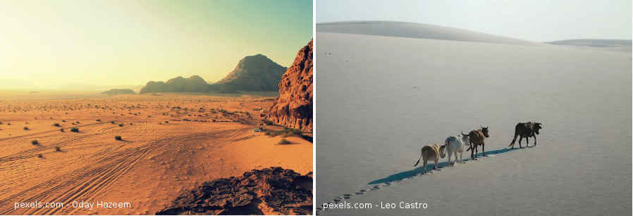 El agua potable escasea en todo el mundo