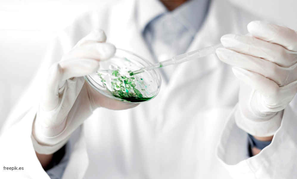 Bioplásticos - Científicas españolas trabajan en su desarrollo