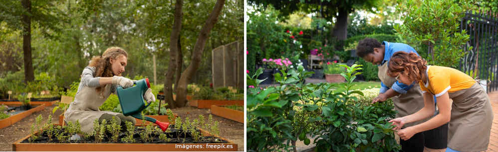 Los Freegans - Boicot total a un sistema económico