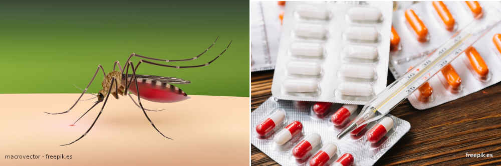 Los modelos matemáticos ayudan a combatir la malaria y la tuberculosis