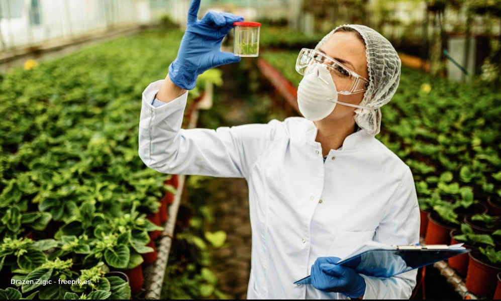 BioCultura 2025 - Las mujeres en el sector ecológico