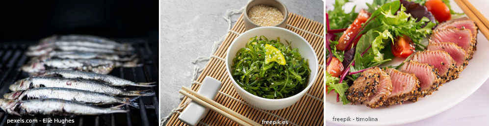 El crecimiento intelectual de nuestros hijos y su alimentación