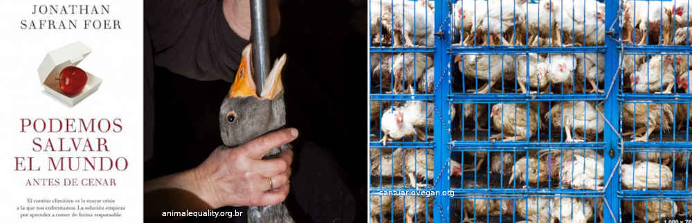 Jonathan Safran Foer - 'Salvar el mundo antes de cenar'