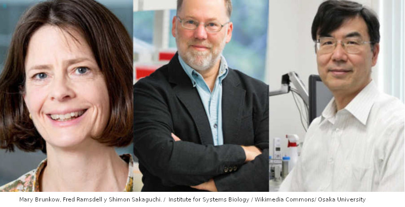 Mary E. Brunkow - Nobel de Medicina 2025 junto con Ramsdell y Sakaguchi