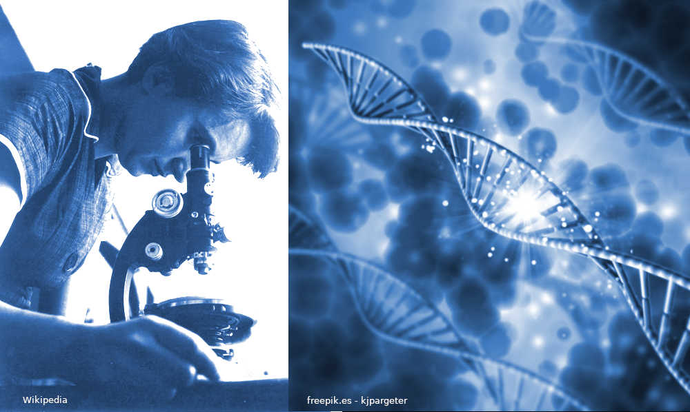 Rosalind Franklin - Fundamental en el descubrimiento de la estructura del ADN