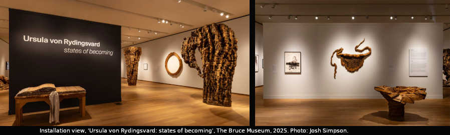 Ursula von Rydingsvard - Famosa escultora en madera