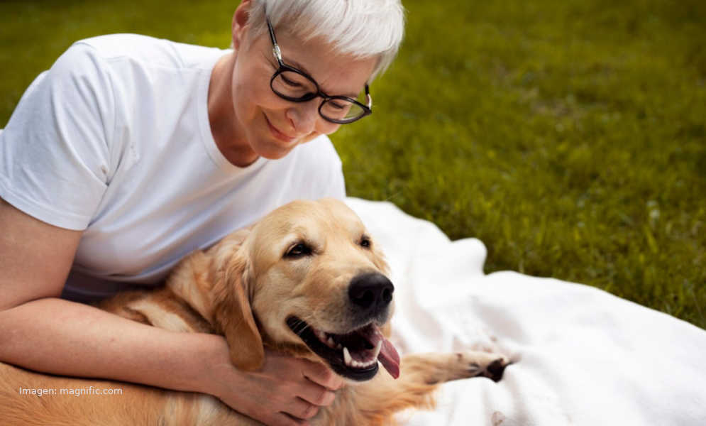 Animales de compañía - Dan un fuerte apoyo emocional a los humanos